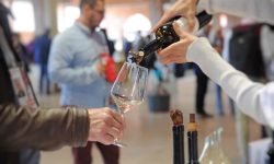 Vent'anni di "Viniveri", a Cerea torna l'appuntamento con vini, vignaioli, storie di agricoltura rispettosa della biodiversità