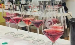 Cerasuolo d’Abruzzo, il colore di un’identità. All’Aquila serata di Assosommelier con sette produttori