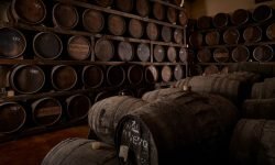 Cantina Contini debutta a Great Wines Italy New York di James Suckling con Tyrsos e Tonaghe
