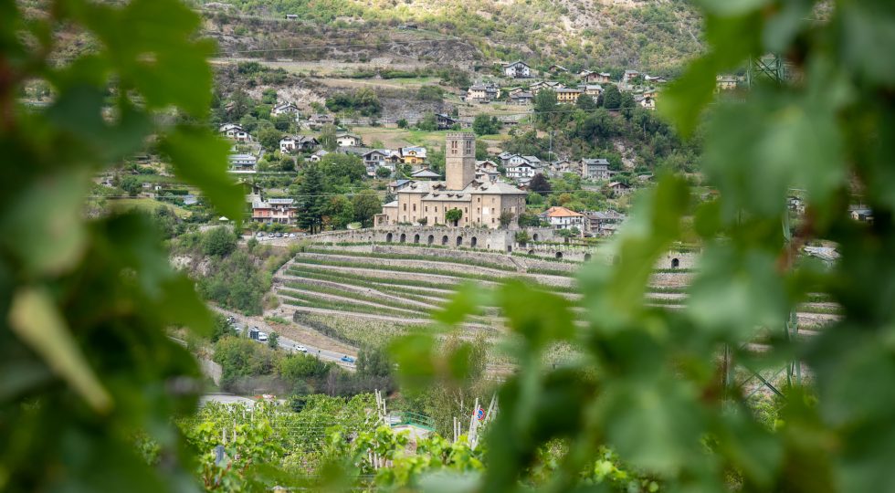 Vinitaly 2024, nello spazio del Consorzio Vini Valle d’Aosta tre giorni di masterclass