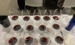 Cresce la collettiva del Consorzio tutela vini Valpolicella al Vinitaly