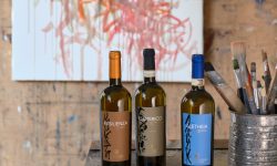 Da etichette a opere d’arte: le nuove linee della cantina irpina Donnachiara uniscono design, femminilità e cultura del vino