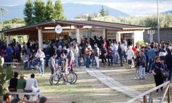 Storiche Cantine Bosco, a Cantine Aperte 2024 un viaggio nel gusto e nella storia