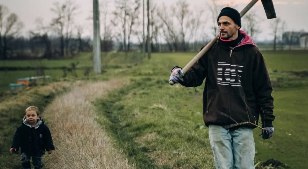 Dalle risaie al riuso creativo: come si trasformano gli scarti del riso in risorse