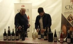 I vini di Cioti, la cantina diffusa di Paterno di Campli: da provare il montepulciano colline teramane del 2008