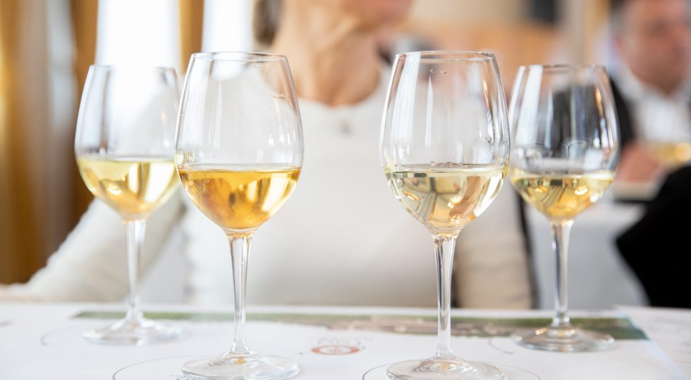 Derthona e Gavi, le eccellenze vinicole alessandrine celebrano il bianco piemontese