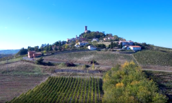 Festival Oltrepò, un weekend di eventi diffusi in cantina per valorizzare al meglio la proposta enogastronomica del territorio