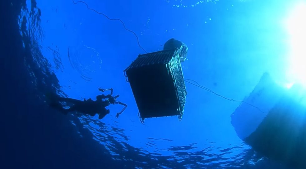 Vino dell’Etna affinato sotto le acque del mar Ionio, 30 bottiglie esclusive per Brizza di Villa Sant’Andrea