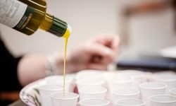 Olio evo, aziende abruzzesi premiate al Milan International Olive Oil Award 2024