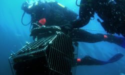 Tenuta del Paguro, i vini affinano in mare aperto a 30 metri di profondità nella vecchia piattaforma offshore