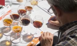 Le migliori birre d’Italia in degustazione all’Ambasciata del Belgio