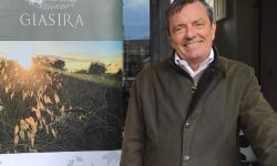 Il Grillo di Giasira è il miglior vino bianco siciliano per il Concours mondial de Bruxelles 2024