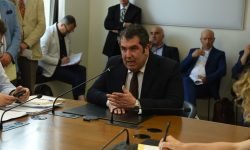 Peronospora, sindaci e viticoltori auditi in Regione chiedono di portare a Roma il caso Abruzzo