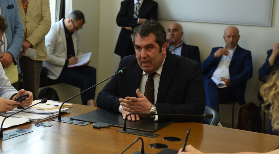 Peronospora, sindaci e viticoltori auditi in Regione chiedono di portare a Roma il caso Abruzzo