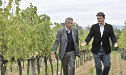 I Ferragamo acquisiscono Tenuta Pinino mettendo un piede anche nella terra del Brunello di Montalcino