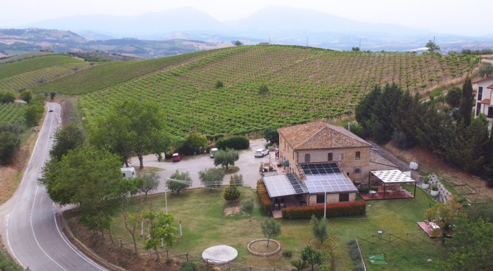 Osteria di campagna Masseria Tattoni: più spazi, più green, più accogliente