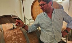 C’è “un’altra Bolgheri” tutta da scoprire e raccontare: Podere Il Castellaccio difende la storia con gli autoctoni