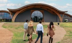 Prosit Group inizia il rinnovamento di Cantina di Montalcino