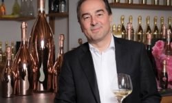 Vendemmia, Sandro Bottega: “Dealcolazione fondamentale per ridurre le scorte in cantina”