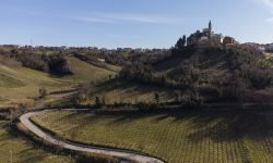 Tollo Wine Festival, una giornata per scoprire le produzioni di una delle più piccole Docg d’Italia