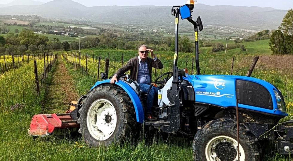 Nel casertano azienda rilancia l’antico vitigno atutoctono “Ingannapastore”