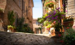 “Borghi Sibillini”, oltre 100 eventi tra sagre, concerti, escursioni e notti sotto le stelle