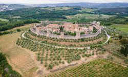 La Maremma e il Consorzio di viticoltori. I suoi vini, le sue terre, i suoi borghi