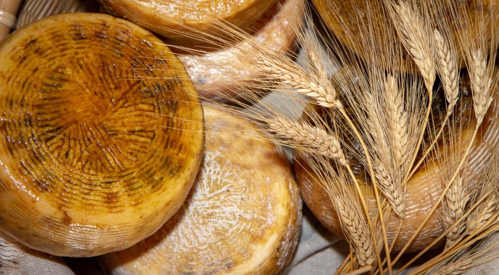 L’Abruzzo al Messina Street Food Fest con cinque showcooking e degustazioni