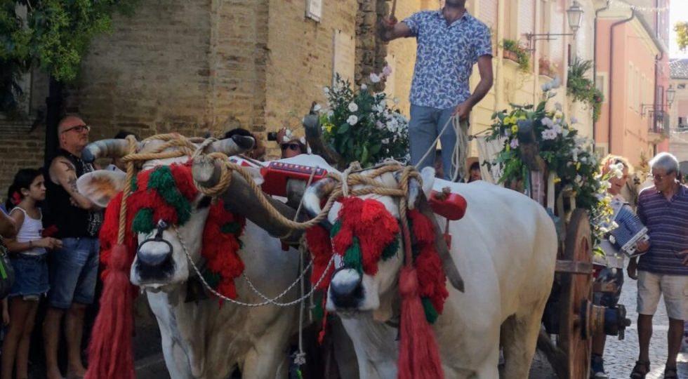 Torna il Ferragosto Atriano con la Fiera boaria, i Fondaci aperti e la rassegna folkloristica