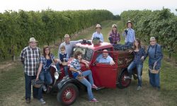 Cantine Povero, duecento anni di passione per il vino nel cuore del Piemonte