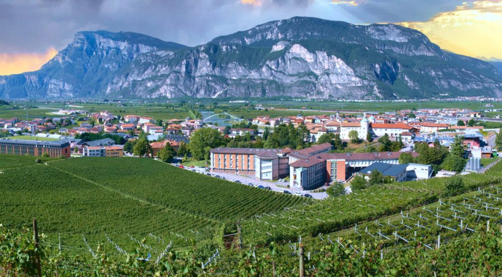 Il concorso Vini Territorio di San Michele all’Adige ritorna, quest’anno premierà anche le bollicine Doc Trento con oro, argento e bronzo