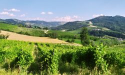 Vendemmia in Oltrepò Pavese: i cinque migliori indirizzi dove mangiare