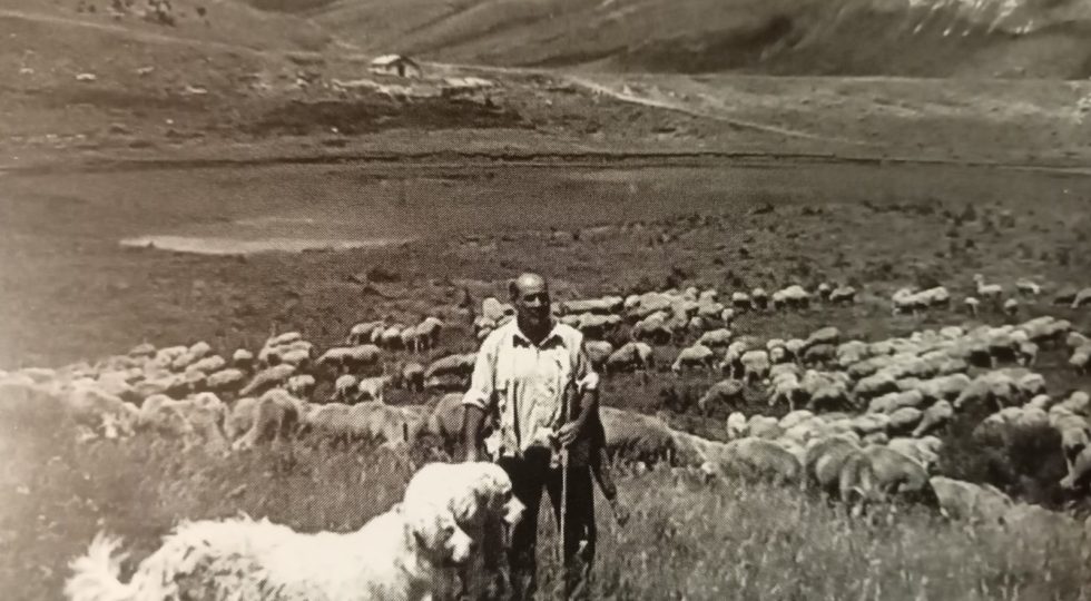 Storie di pastori e transumanza nello spettacolo Tratturo Magno che debutta ad Avezzano