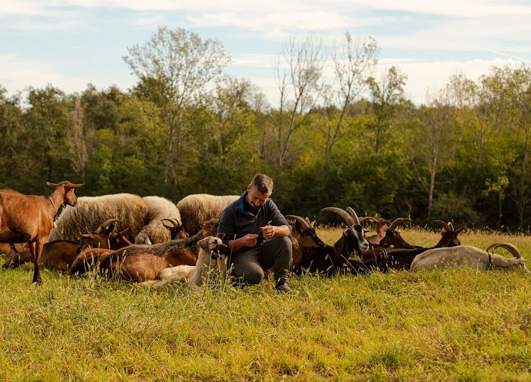 I Pastori del Roero e la difesa dei prati stabili: la ricchezza celata oltre la vite