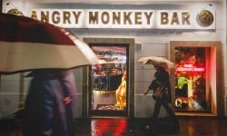 A Roma arriva Angry Monkey Bar, oltre 50mila possibili combinazioni di gin tonic