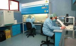 Sessantesimo anniversario di Genitti Ottici, presto un piano di screening nelle scuole