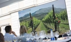 I vini del Casertano (ri)partono dal mercato locale. “Siate ambasciatori della Terra di Lavoro”, l’invito del consorzio Vitica