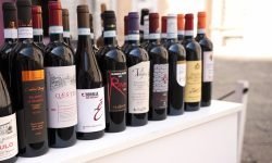 Sinergia, condivisione e formazione per promuovere la Campania del vino. La ricetta dei produttori a Terra di Lavoro Wines
