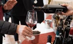Consorzio Vitica, al Vinitaly presentazioni editoriali, analisi di mercato e degustazioni immersive