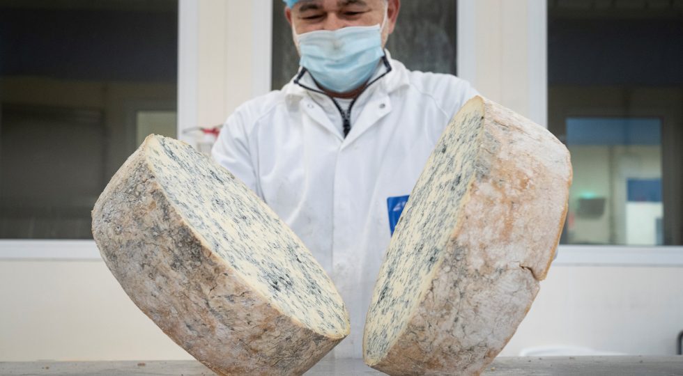 Il gorgonzola segna un record di esportazioni fuori dall’Europa