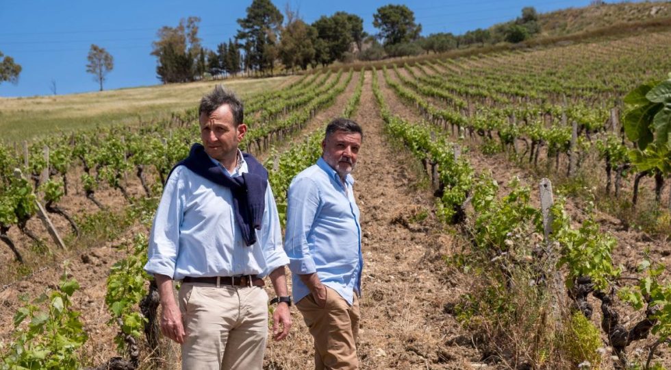 Da avvocati a viticoltori, a Trapani nasce la prima cantina urbana. La storia di Feudo del Balio