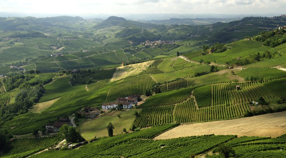 Capitali esteri nel settore enologico: fa ancora gola l’Italia agli stranieri?
