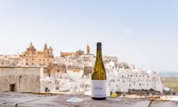 Veronelli premia la riscoperta della Doc Ostuni: ad Amalberga il Sole per lo Stùne Ottavianello