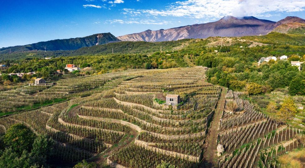I vini vulcanici ed eroici dell’Etna, l’isola nell’isola che si prepara al salto nella Docg