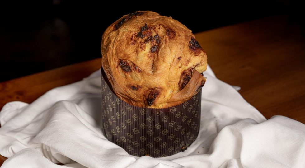 Ecco i panettoni Forma, l’alta pasticceria è di casa all’Aquila in via Fortebraccio 63