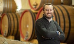 Vino Nobile di Montepulciano, dal primo gennaio in commercio la nuova tipologia “Pieve”