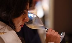 Non chiamate Prosecco qualsiasi spumante! È una questione di cultura e tutela dei prodotti