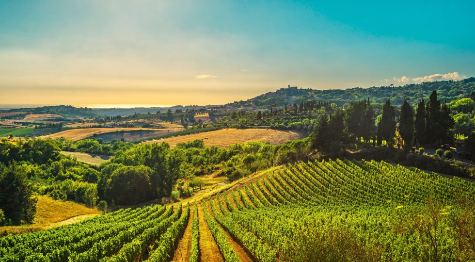 La Regione Toscana per la prima volta al Vinitaly con proprio stand istituzionale