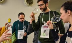 VinNatur Tasting: tre giorni a Gambellara per raccontare il vino naturale tra terroir, cultura e abbinamenti