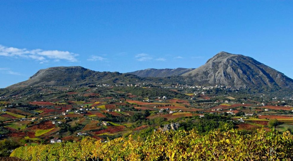 Il Sannio porta l’EnoArte e il mito di Assteas al Vinitaly: 33 aziende pronte a raccontare il territorio